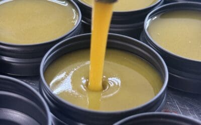 The Story Behind Babo’s Balm: A Name Whispered From My Dreams